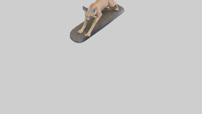 3D model Caracal hunting model VR / AR / low-poly