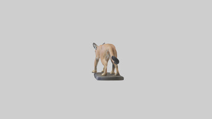 3D model Caracal hunting model VR / AR / low-poly