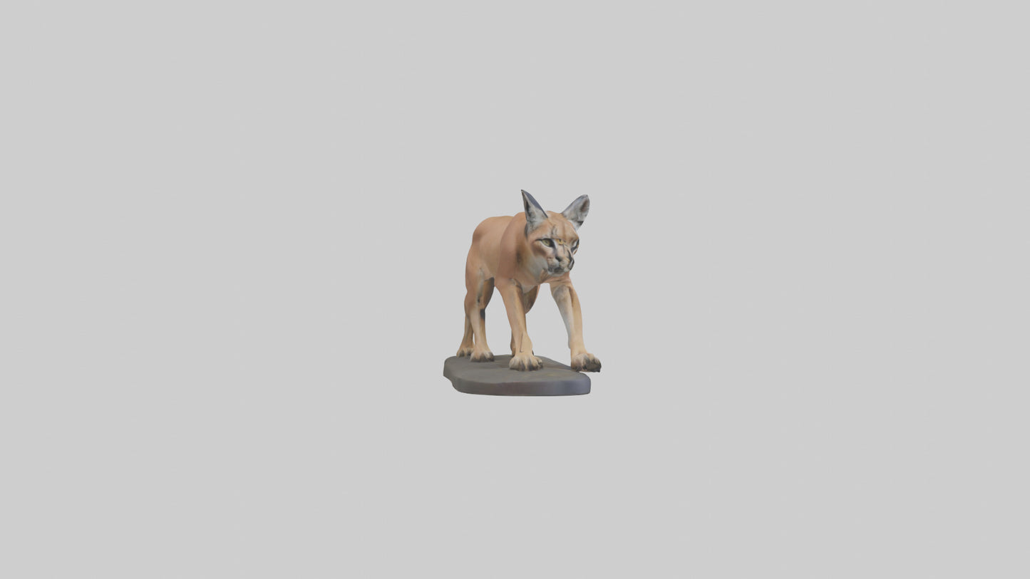 3D model Caracal hunting model VR / AR / low-poly