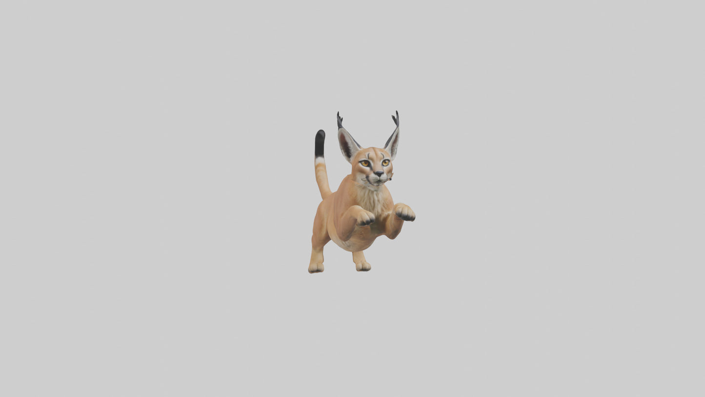3D model Caracal leaping model VR / AR / low-poly