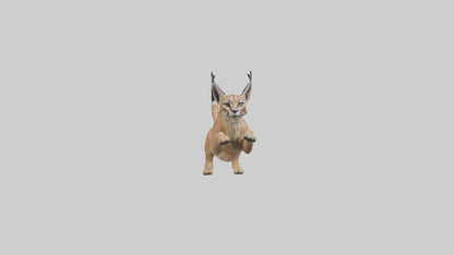 3D model Caracal leaping model VR / AR / low-poly