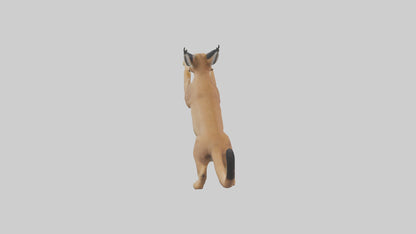 3D model Caracal leaping model VR / AR / low-poly