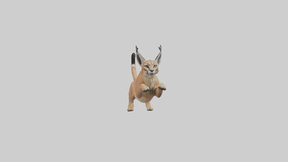 3D model Caracal leaping model VR / AR / low-poly