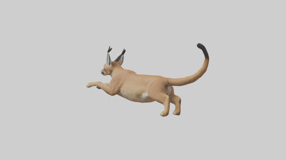 3D model Caracal leaping model VR / AR / low-poly