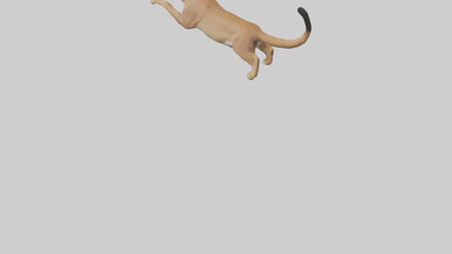 3D model Caracal leaping model VR / AR / low-poly