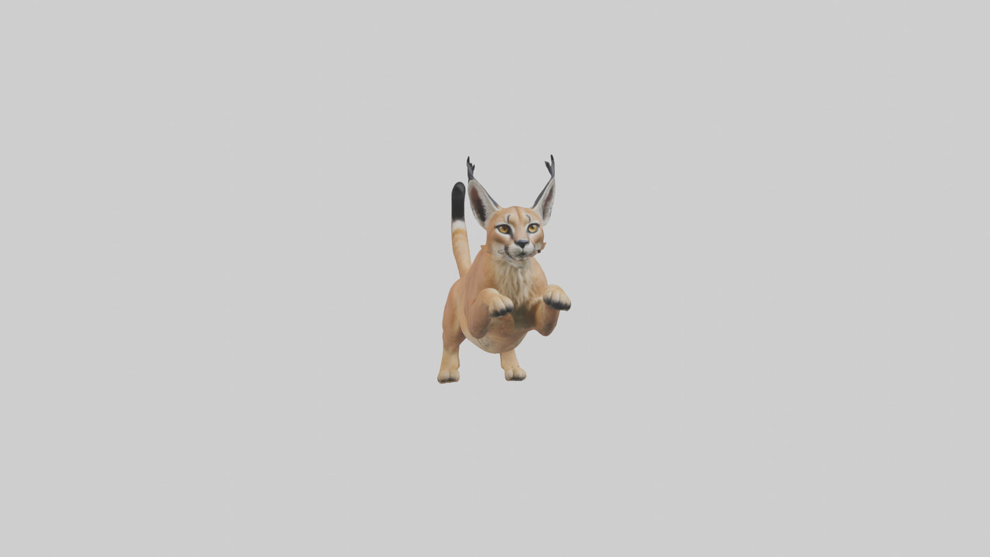 3D model Caracal leaping model VR / AR / low-poly