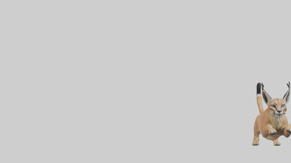 3D model Caracal leaping model VR / AR / low-poly