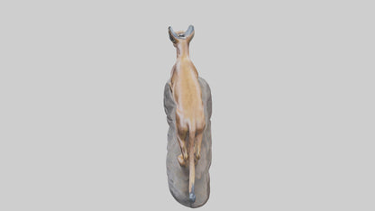 Caracal statue model VR / AR / low-poly
