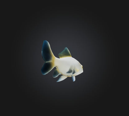 3D model Carassius auratus Fish VR / AR / low-poly