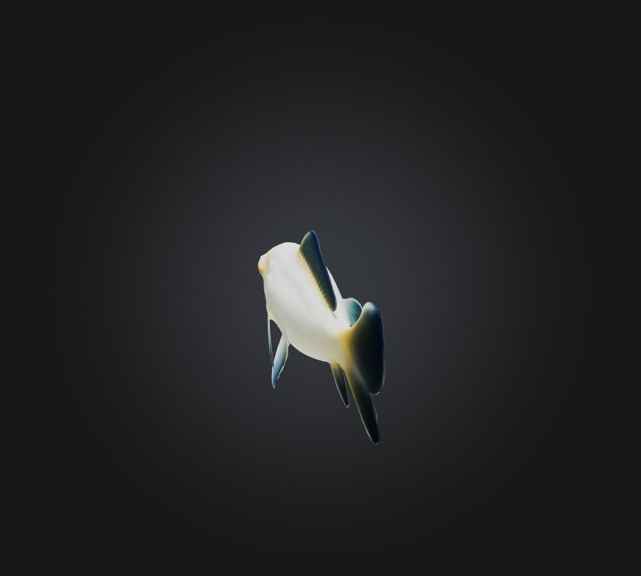 3D model Carassius auratus Fish VR / AR / low-poly