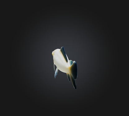 3D model Carassius auratus Fish VR / AR / low-poly