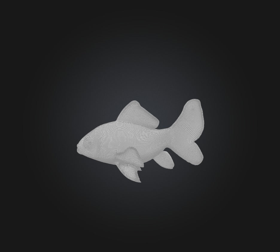 3D model Carassius auratus Fish VR / AR / low-poly