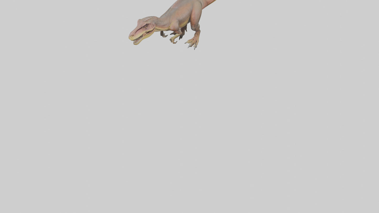 3D model Carcharodontosaurus model VR / AR / low-poly