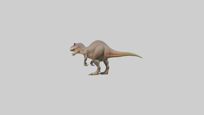 3D model Carcharodontosaurus model VR / AR / low-poly