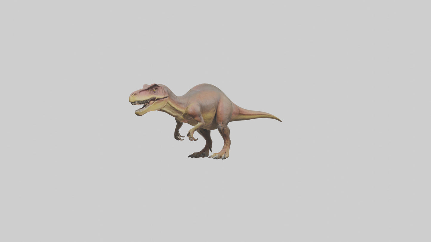3D model Carcharodontosaurus model VR / AR / low-poly