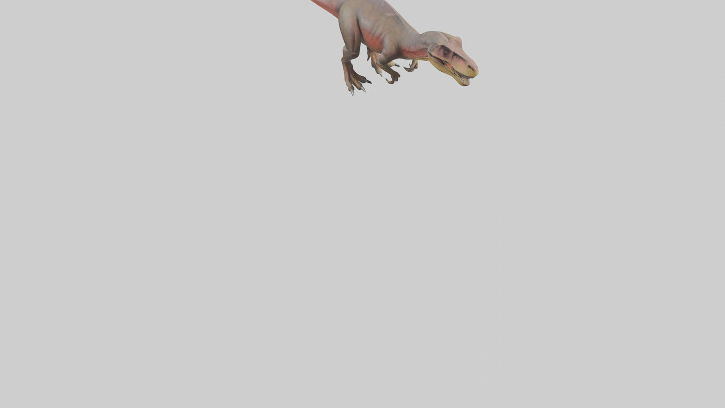 3D model Carcharodontosaurus model VR / AR / low-poly