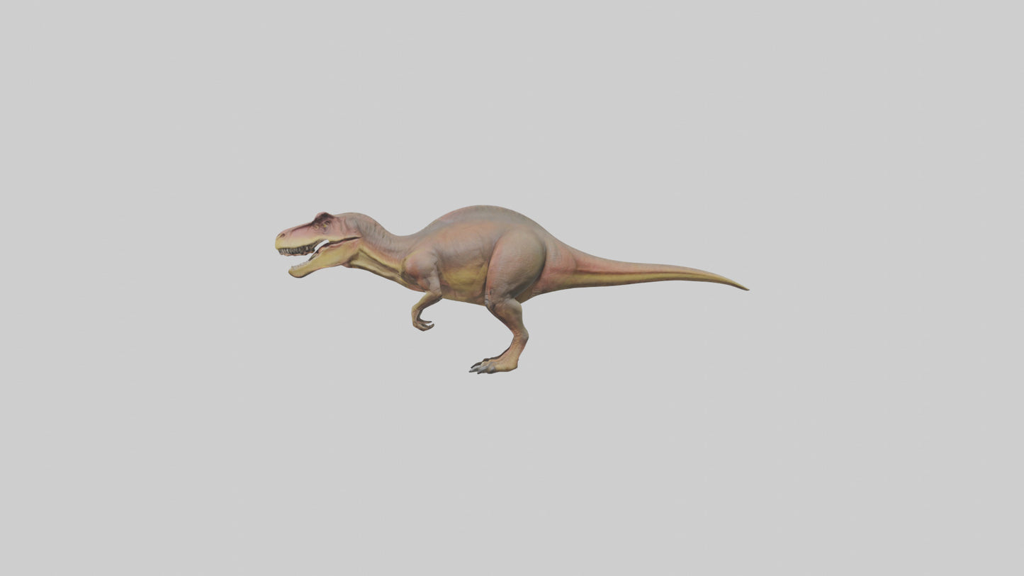 3D model Carcharodontosaurus model VR / AR / low-poly