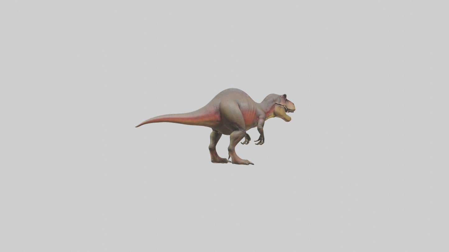 3D model Carcharodontosaurus model VR / AR / low-poly