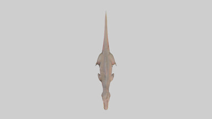 3D model Carcharodontosaurus model VR / AR / low-poly