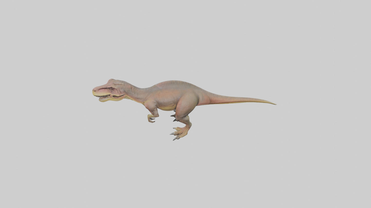 3D model Carcharodontosaurus model VR / AR / low-poly