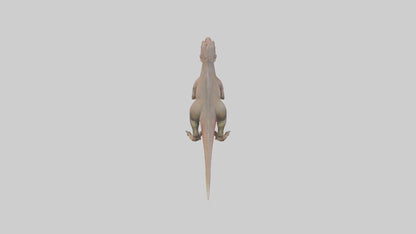 3D model Carcharodontosaurus model VR / AR / low-poly