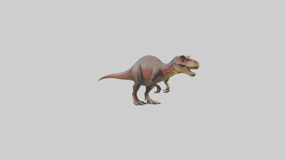 3D model Carcharodontosaurus model VR / AR / low-poly