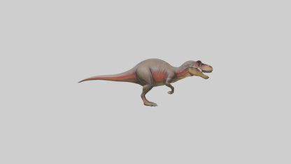 3D model Carcharodontosaurus model VR / AR / low-poly