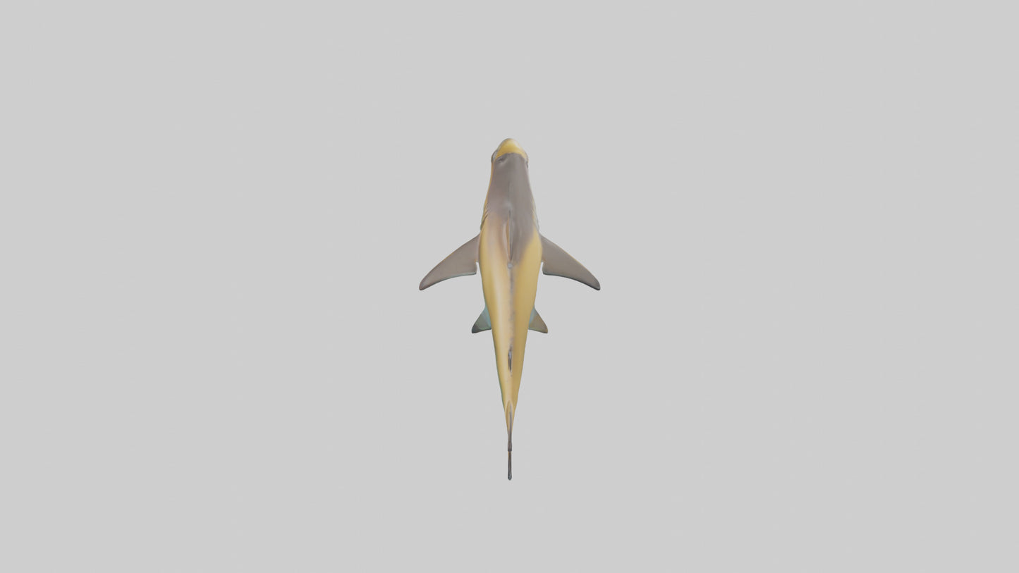 Caribbean Reef Shark swimming model VR / AR / low-poly