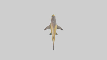 Caribbean Reef Shark swimming model VR / AR / low-poly