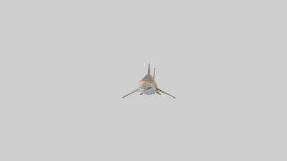 Caribbean Reef Shark swimming model VR / AR / low-poly
