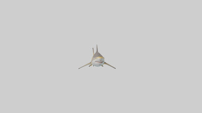 Caribbean Reef Shark swimming model VR / AR / low-poly