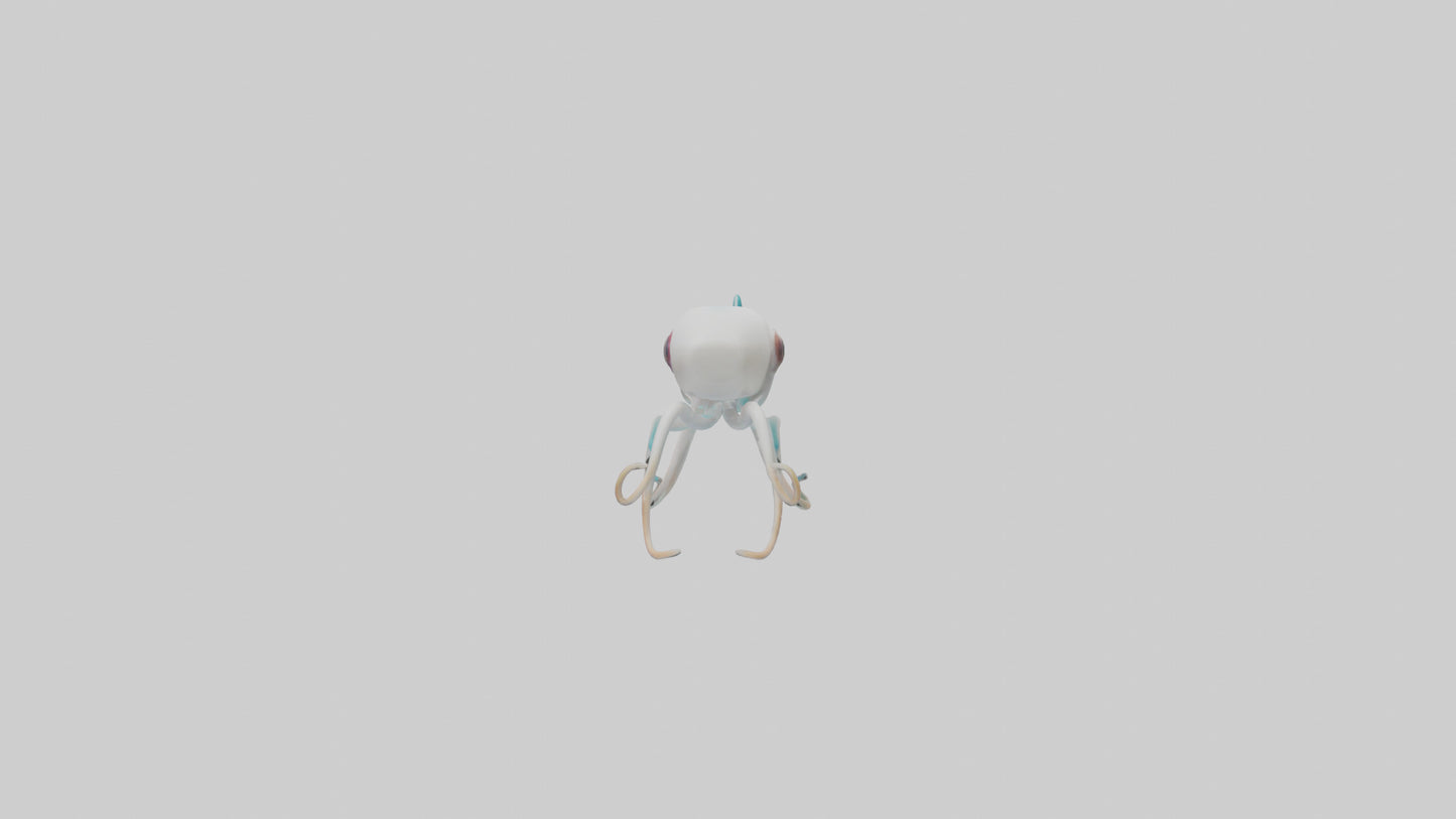 3D model Caribbean Reef Squid gliding model 2 VR / AR / low-poly