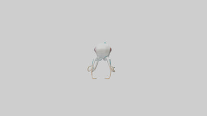 3D model Caribbean Reef Squid gliding model 2 VR / AR / low-poly