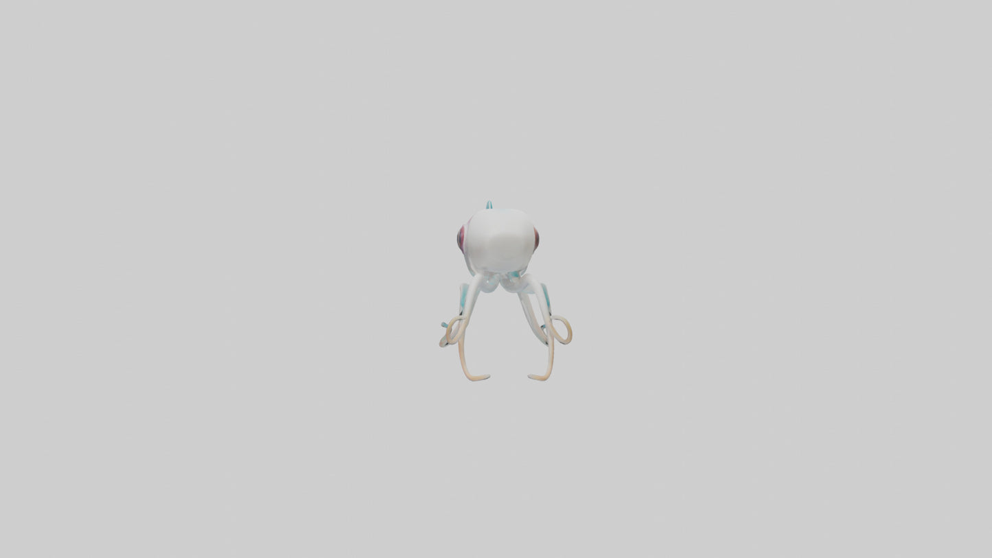 3D model Caribbean Reef Squid gliding model 2 VR / AR / low-poly