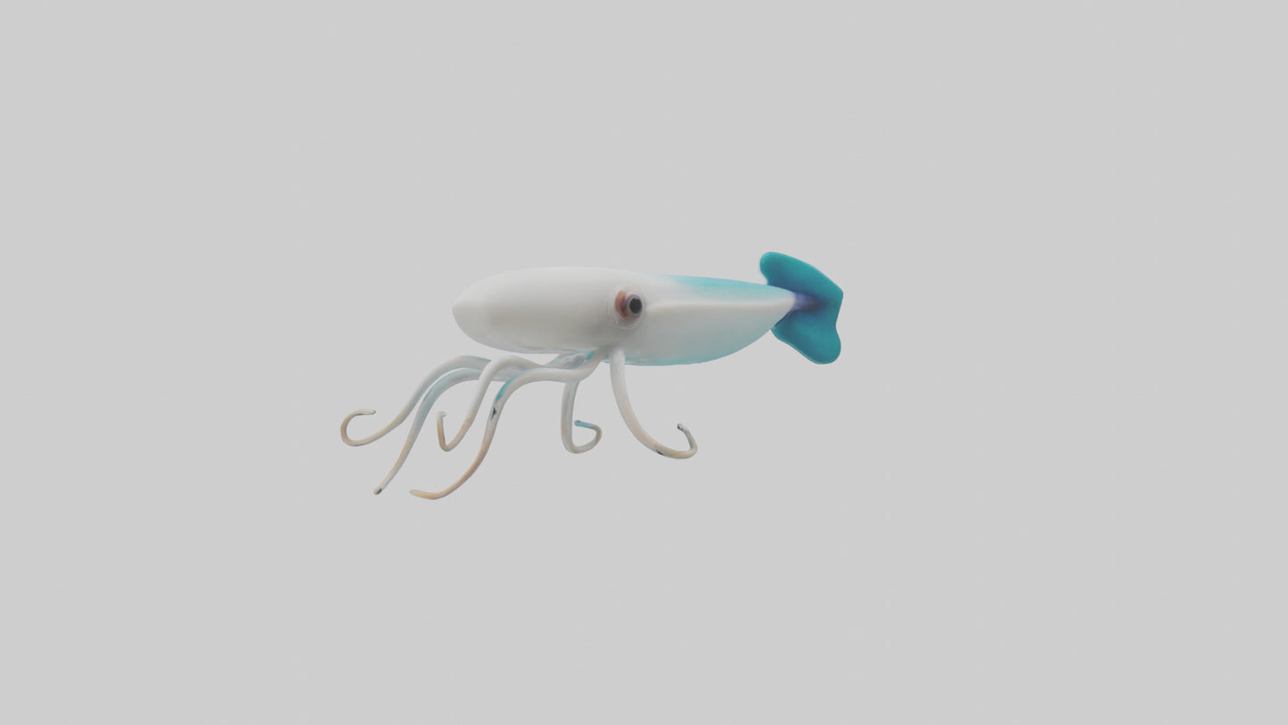 3D model Caribbean Reef Squid gliding model 2 VR / AR / low-poly