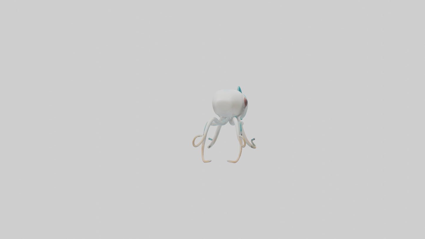 3D model Caribbean Reef Squid gliding model 2 VR / AR / low-poly