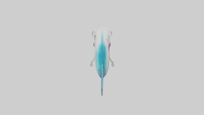 3D model Caribbean Reef Squid gliding model 2 VR / AR / low-poly