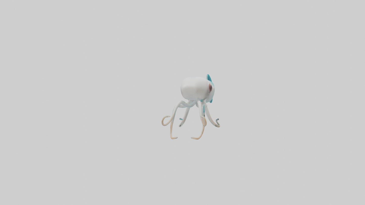 3D model Caribbean Reef Squid gliding model 2 VR / AR / low-poly