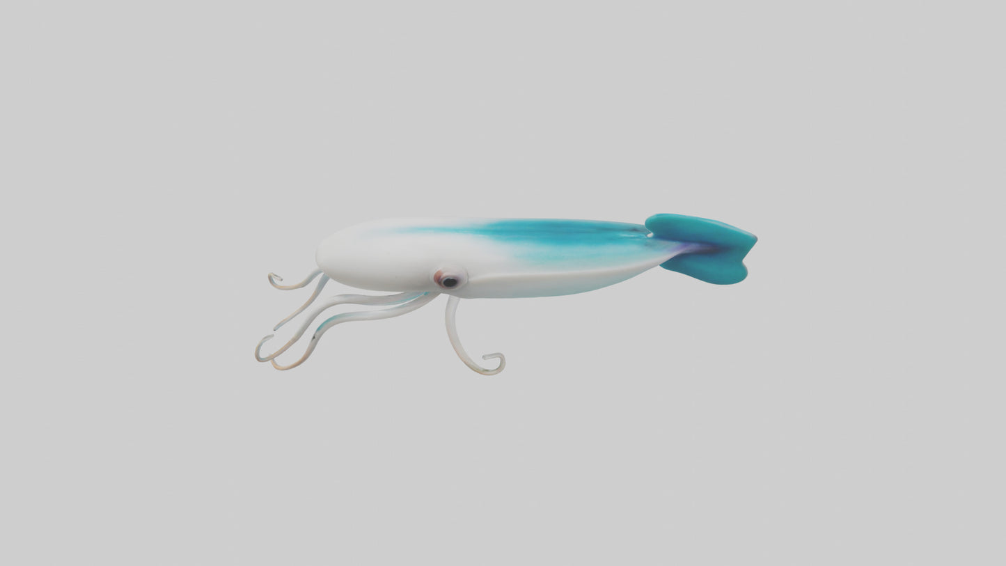 3D model Caribbean Reef Squid gliding model 2 VR / AR / low-poly