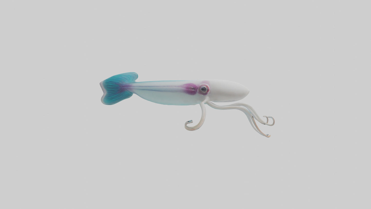 3D model Caribbean Reef Squid gliding model 2 VR / AR / low-poly