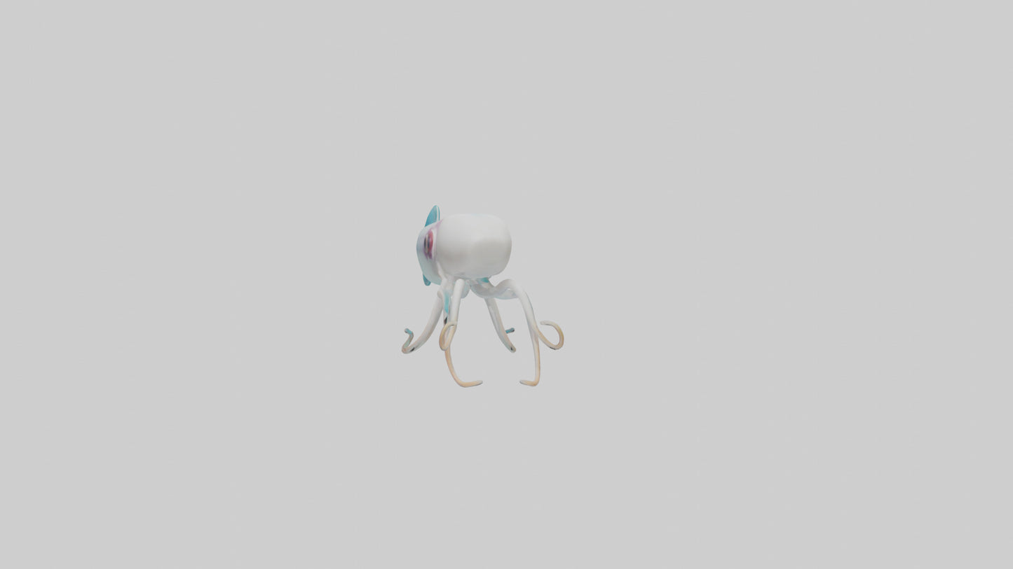 3D model Caribbean Reef Squid gliding model 2 VR / AR / low-poly
