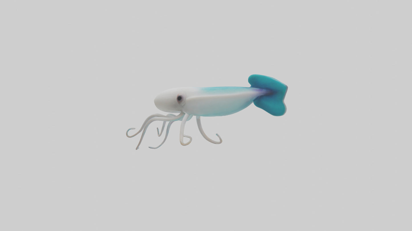 3D model Caribbean Reef Squid gliding model 2 VR / AR / low-poly