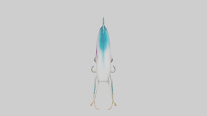 3D model Caribbean Reef Squid gliding model 2 VR / AR / low-poly