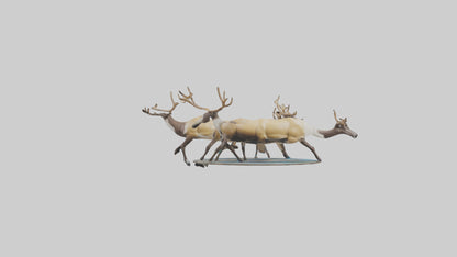 3D model Caribou migrating model VR / AR / low-poly