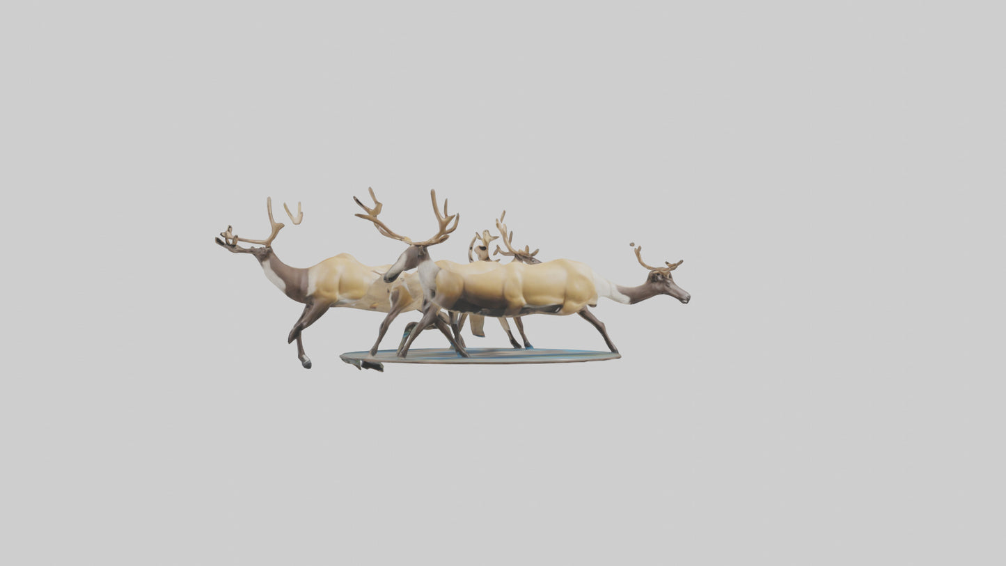 3D model Caribou migrating model VR / AR / low-poly