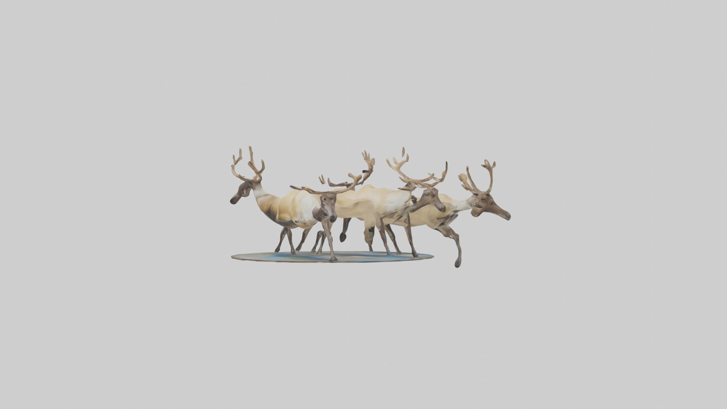 3D model Caribou migrating model VR / AR / low-poly
