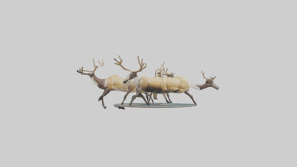 3D model Caribou migrating model VR / AR / low-poly