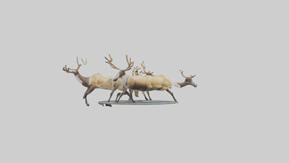 3D model Caribou migrating model VR / AR / low-poly