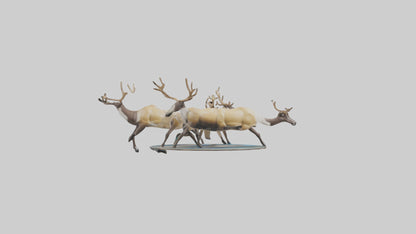 3D model Caribou migrating model VR / AR / low-poly
