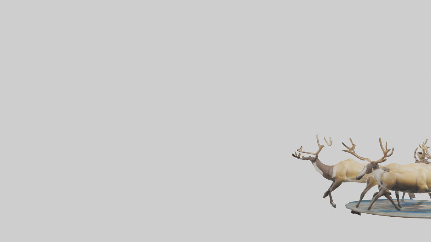 3D model Caribou migrating model VR / AR / low-poly